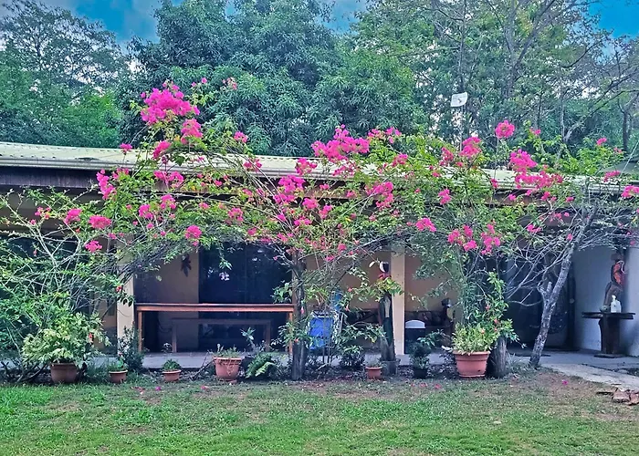 Villas Playa Palo Seco