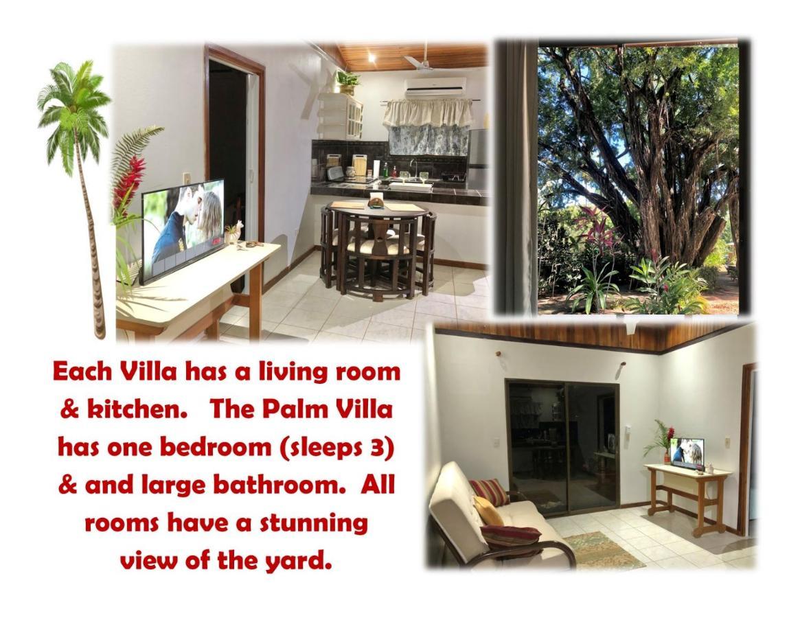 Holiday home Playa Palo Seco *