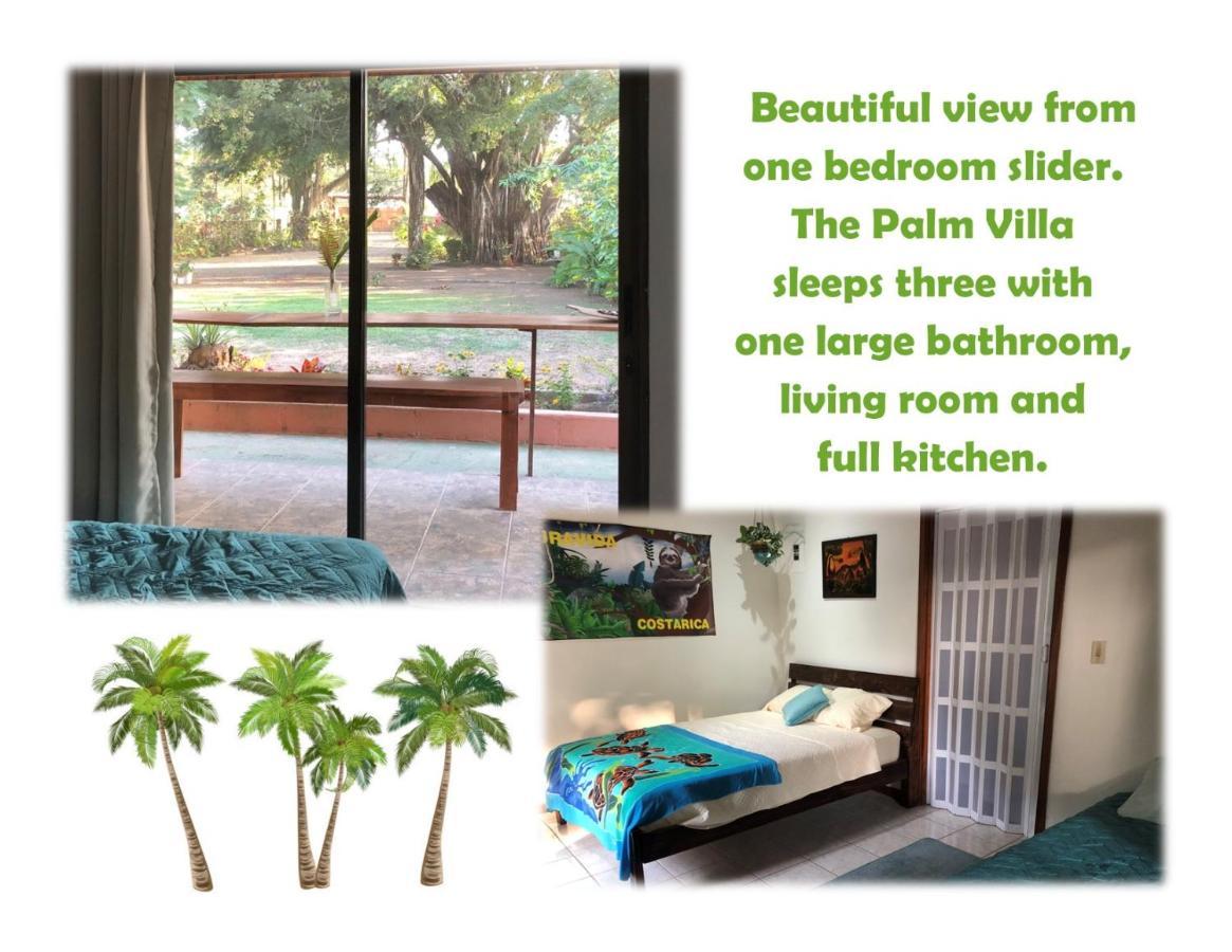Holiday home Playa Palo Seco *