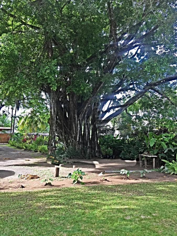 Holiday home Playa Palo Seco Parrita