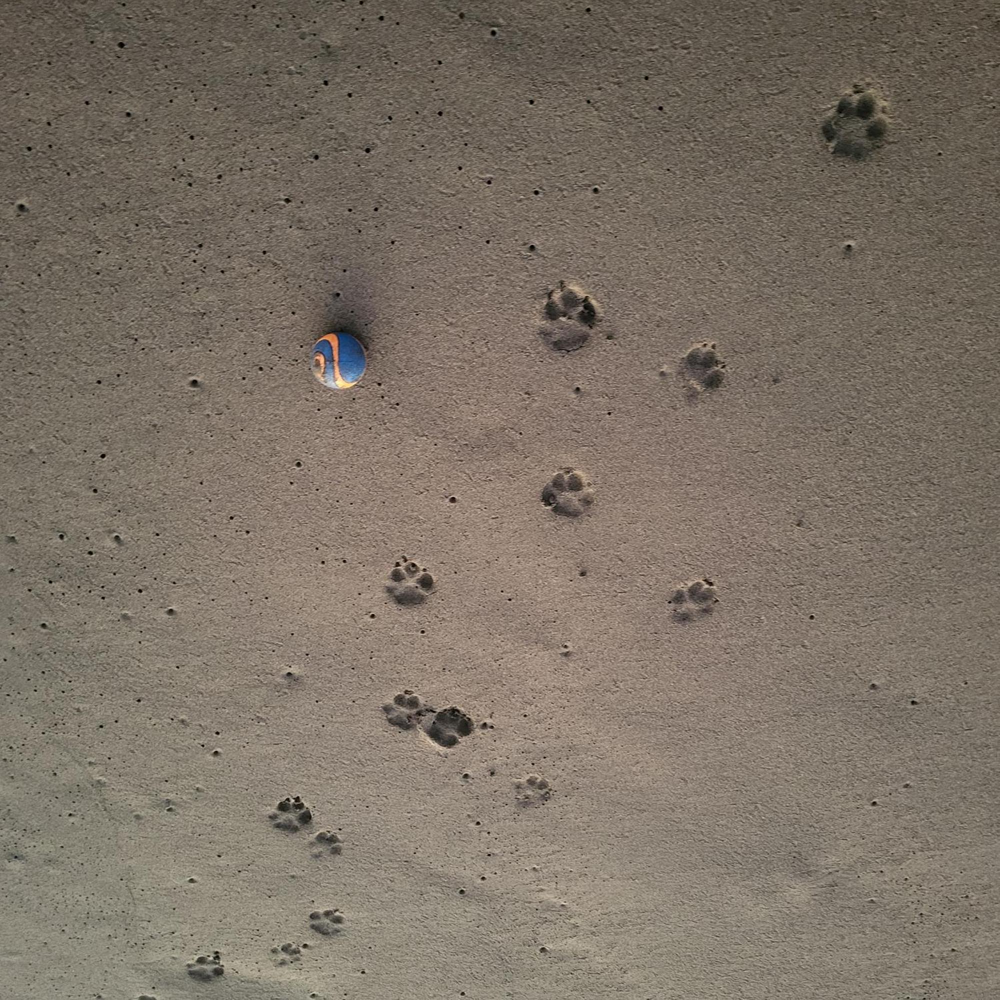 Playa Palo Seco Parrita