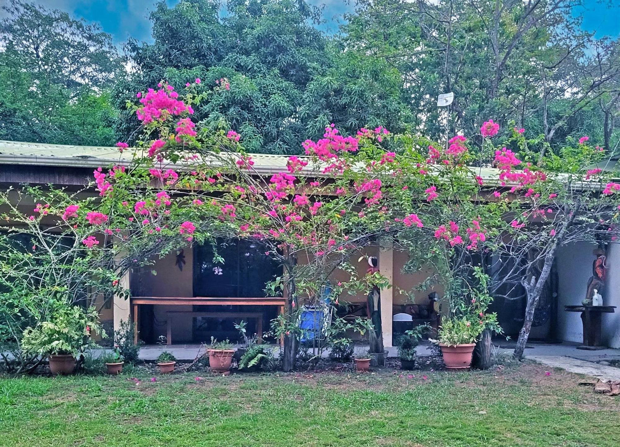 Playa Palo Seco Parrita